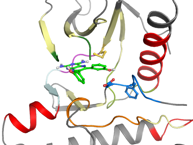 The orthosteric binding pocket