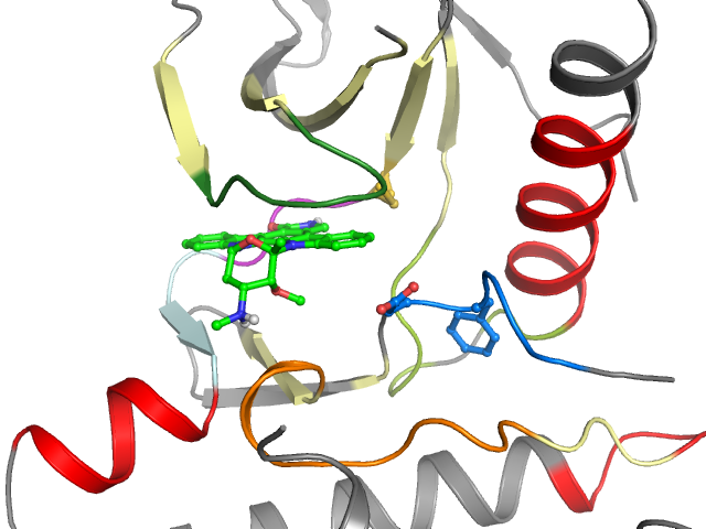 The orthosteric binding pocket