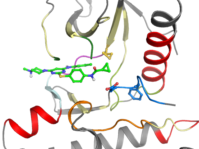 The orthosteric binding pocket