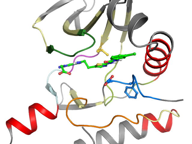 The orthosteric binding pocket