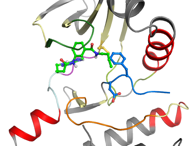 The orthosteric binding pocket