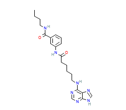 2D structure of the orthosteric ligand
