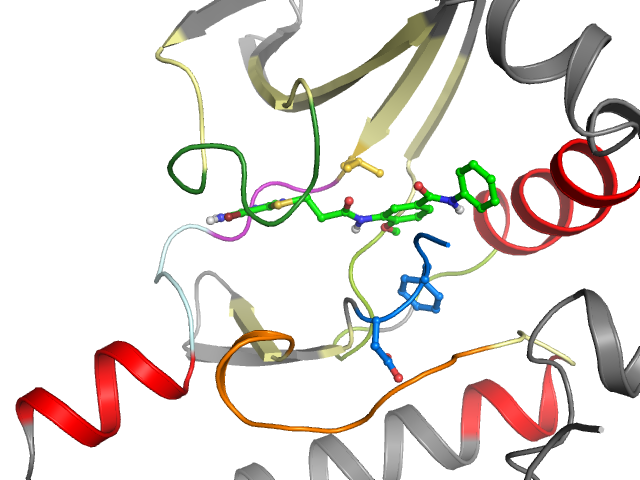 The orthosteric binding pocket