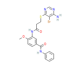 2D structure of the orthosteric ligand