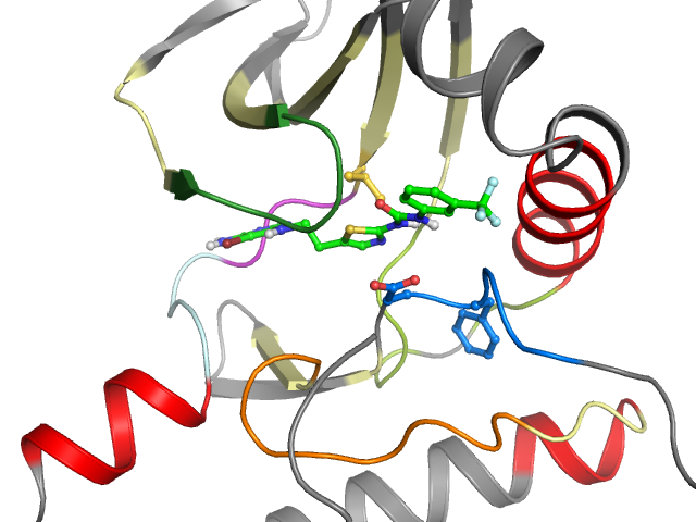 The orthosteric binding pocket