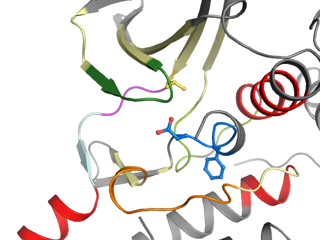 The orthosteric binding pocket