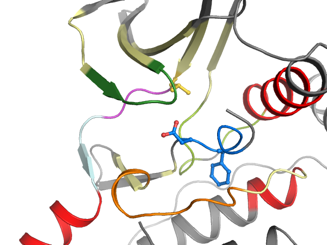 The orthosteric binding pocket