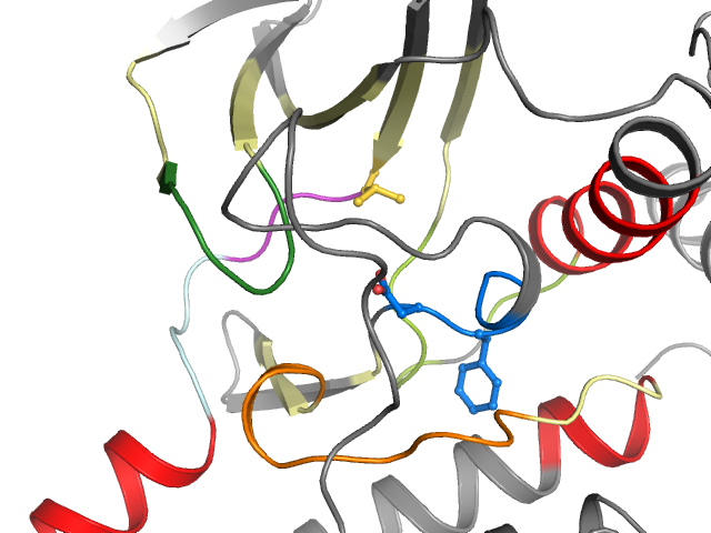 The orthosteric binding pocket