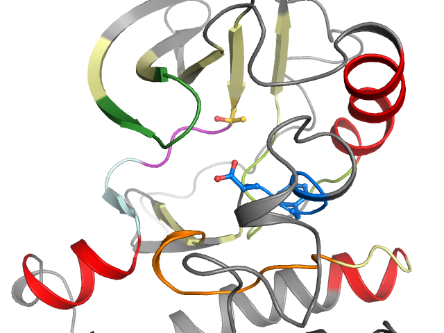 The orthosteric binding pocket