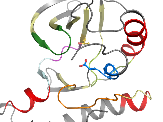 The orthosteric binding pocket