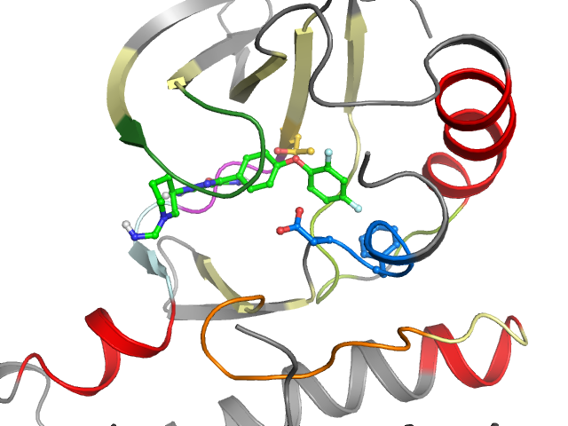 The orthosteric binding pocket