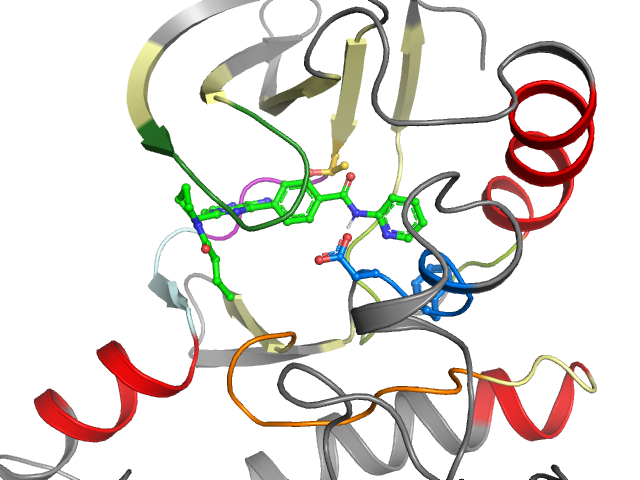 The orthosteric binding pocket
