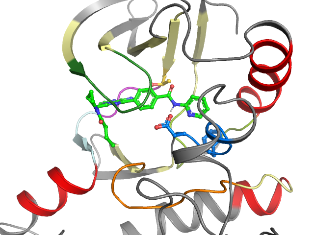 The orthosteric binding pocket