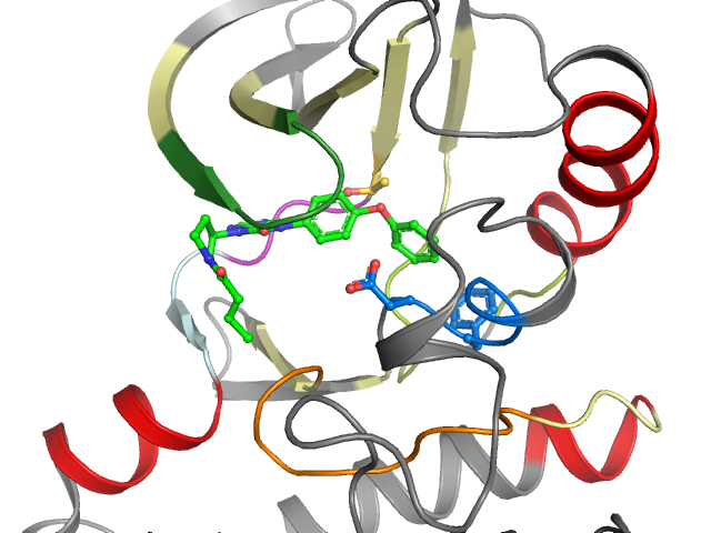 The orthosteric binding pocket