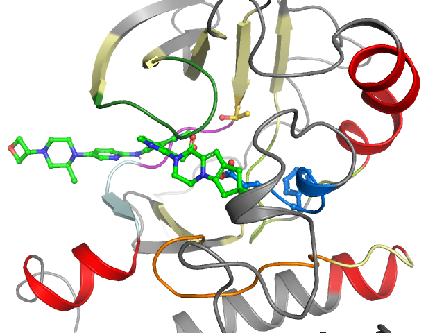 The orthosteric binding pocket