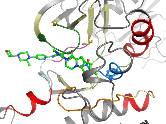 The orthosteric binding pocket