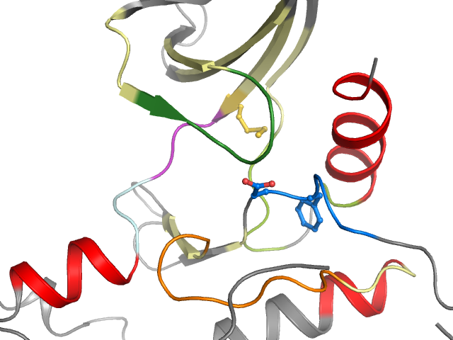 The orthosteric binding pocket