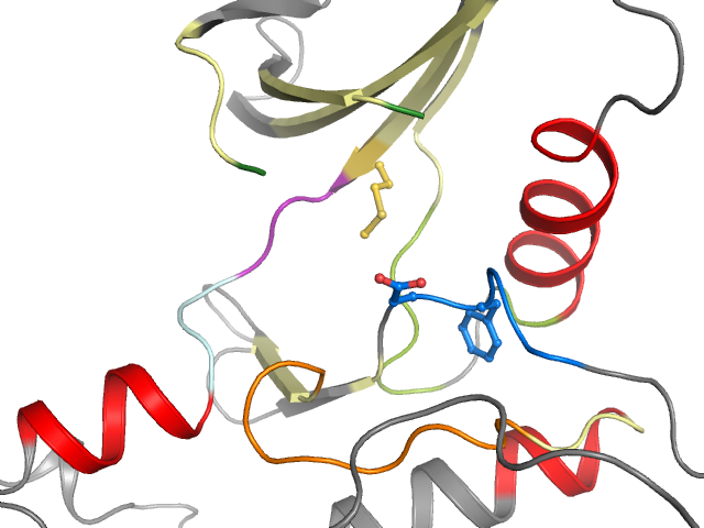 The orthosteric binding pocket