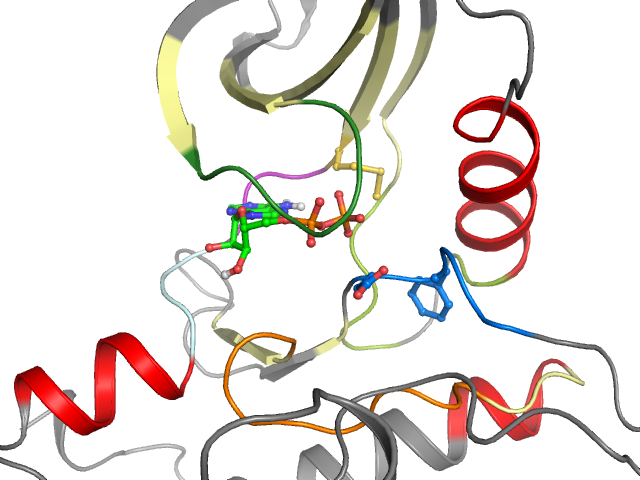 The orthosteric binding pocket