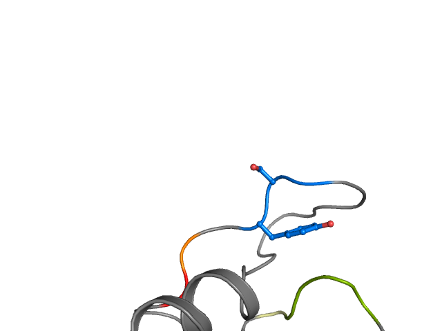 The orthosteric binding pocket