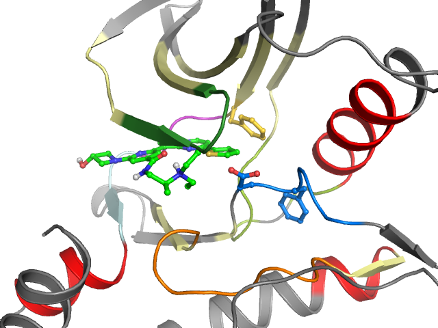The orthosteric binding pocket