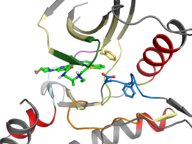 The orthosteric binding pocket
