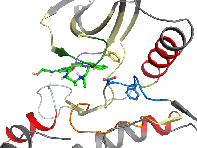 The orthosteric binding pocket