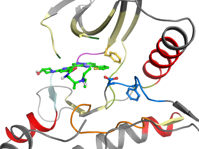 The orthosteric binding pocket