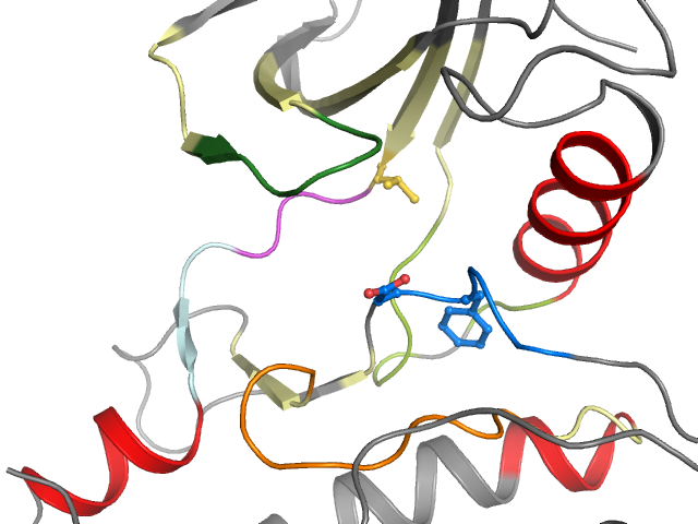 The orthosteric binding pocket