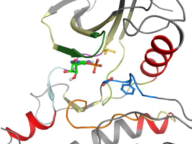 The orthosteric binding pocket