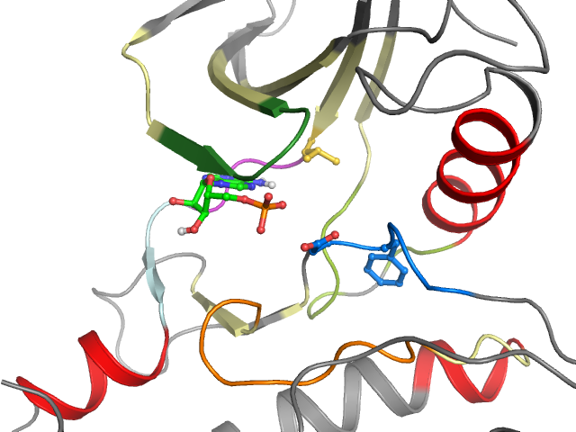 The orthosteric binding pocket