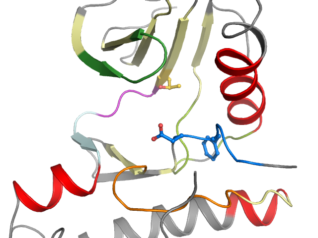 The orthosteric binding pocket