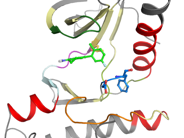 The orthosteric binding pocket