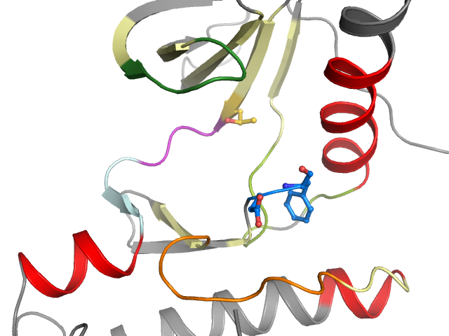 The orthosteric binding pocket
