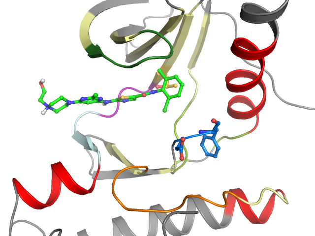 The orthosteric binding pocket