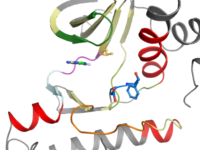 The orthosteric binding pocket