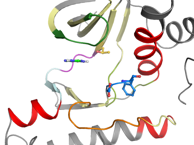 The orthosteric binding pocket