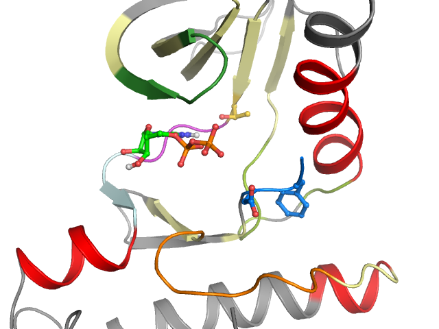 The orthosteric binding pocket