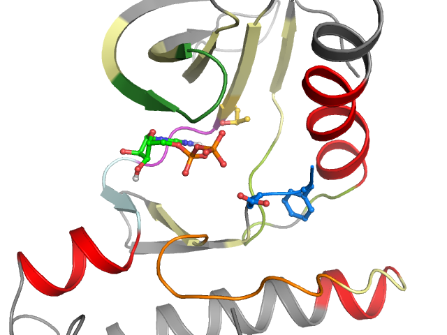 The orthosteric binding pocket