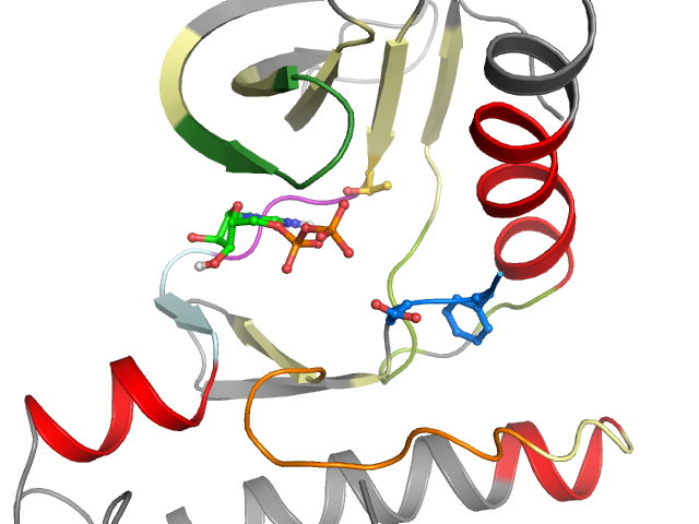 The orthosteric binding pocket