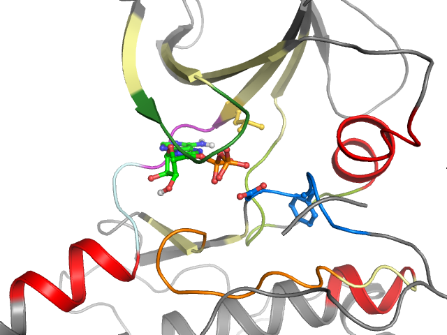 The orthosteric binding pocket