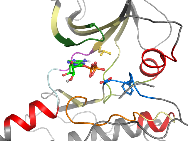 The orthosteric binding pocket