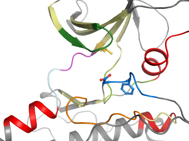 The orthosteric binding pocket
