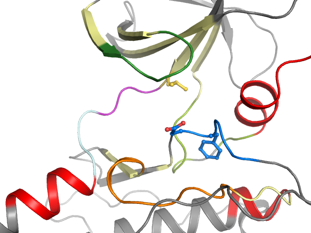 The orthosteric binding pocket