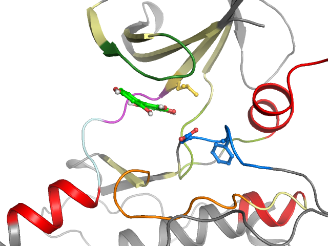 The orthosteric binding pocket