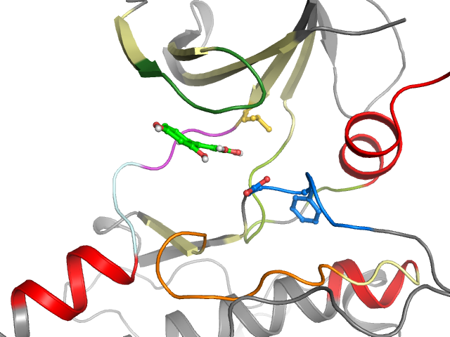 The orthosteric binding pocket