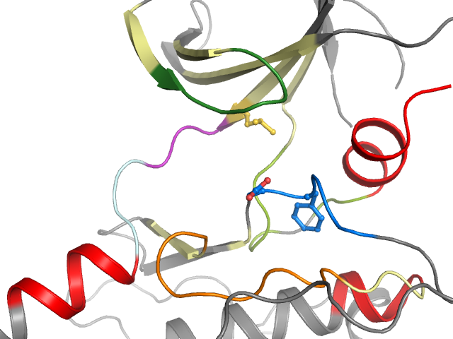 The orthosteric binding pocket
