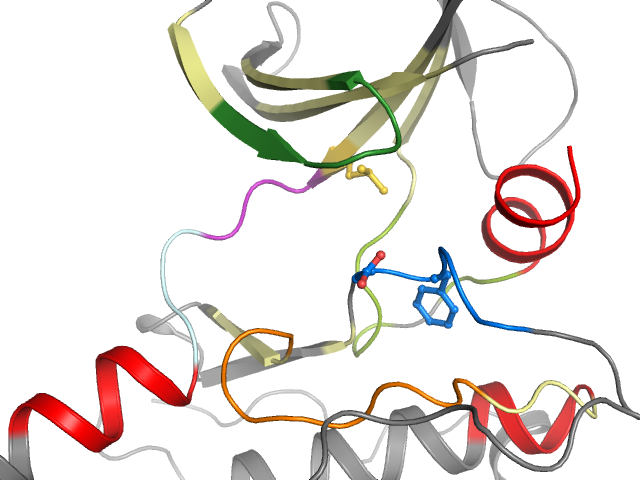 The orthosteric binding pocket