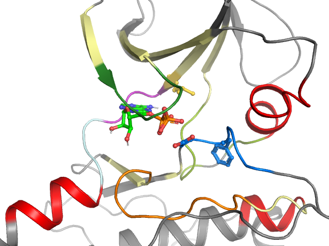 The orthosteric binding pocket