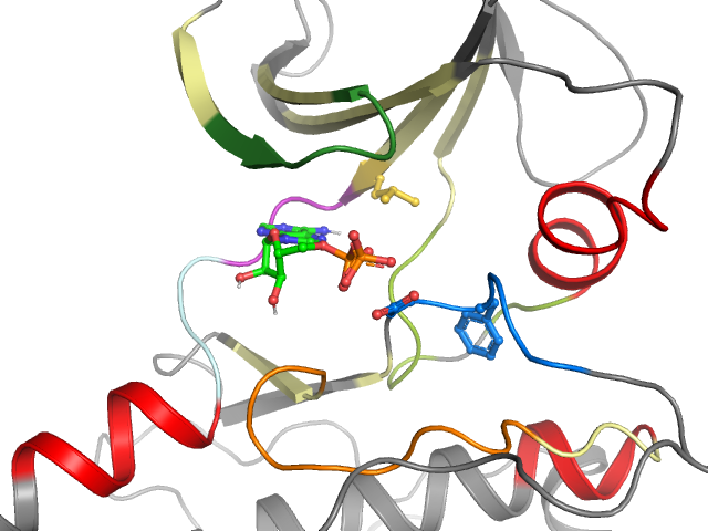 The orthosteric binding pocket